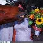 via This Is Photobomb