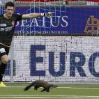 5c8ae0d922000033001a08a9