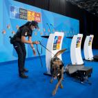 62ba93312500000a38474b72