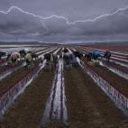 Kike Balenzategui Arbizu. Berbinzana (Navarra)