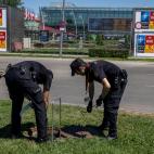 62ba9394210000bf375ee8b4