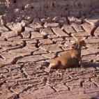 Alberto Martínez Lorenzo. Alcora (Castellón)