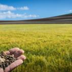 Mario Pereda Berga. Alrededores de Cilleruelo de Abajo (Burgos)