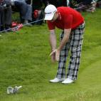 Una paloma en el Open de Escocia en 2010.