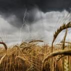 José Ramón Luna de la Ossa. Tarancón (Huesca)