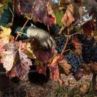 Luis Sánchez Davilla. La Rioja