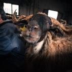 Óscar Berrueta Suberviola. Oroquieta (Navarra)