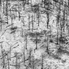 Guillermo Quintanilla Benavente. Valle del Nansa (Cantabria)