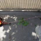 Las familias del sector viven en tiendas en la propia obra o, como la de Shivani, duermen a la intemperie, ya que los alojamientos para los obreros son escasos y caros.