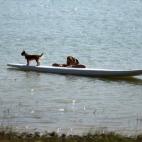 Una chica y su perro se refrescan juto a su piragua en la reserva natural de Conde del Guadalhorce, en Ardales (Málaga).