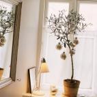 5c8b2635240000f7054cfac8