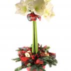 5c8b263622000051001a6858