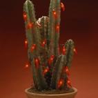 5c8b26362400006c05a43779