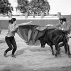 Toreando con Morante de la Puebla