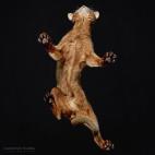 Pero a la mayoría los retrató "sin ningún incentivo", dice. "Simplemente, les hice las fotos de cualquier manera, ya fuera andando o de pie".