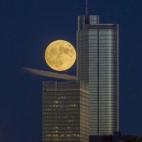 5c8b33e53b000054066d374f