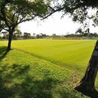 5c8b7a433b000054066daec8