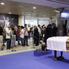 5c8b6f9e240000f7054d796e