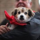 5c8b678f2400006b054d6541