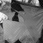 5c8b7187360000a61b6d1867