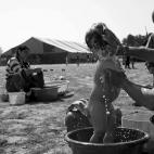 5c8b718822000030001aebae