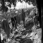 5c8b71882300002f00e8353d