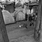 5c8b71892400006d054d7e2f