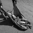 5c8b718b2300002f00e8353f