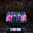 5c8a419d20000043046eea93