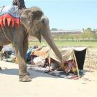 5c8b750d2400006b054d8793