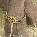 5c8b750e2300003000e83e58