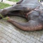 5c8b750e2300003000e83e5b