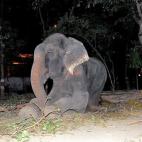 5c8b750e360000ba1a6d21ca