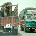 5c8b750e230000040124c7e4