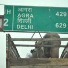 5c8b750f2300007f0124c7e6