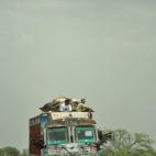 5c8b750f2300003000e83e61