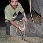 5c8b750f200000450470cf55