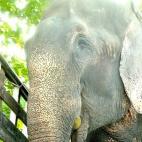 5c8b75102500000d04cab7ac