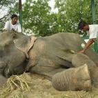 5c8b751022000030001af4c5