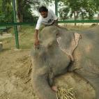 5c8b75102500000d04cab7ae