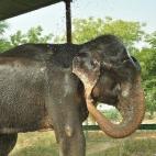 5c8b7511230000d50424c7ee