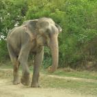 5c8b75113b000070066da25f