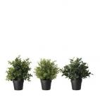 Unidades vendidas: 742.600