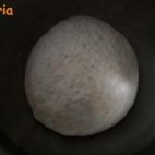 Los ingredientes son harina, levadura fresca, agua, sal, aceite de oliva virgen y semillas de amapola.