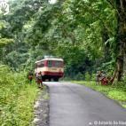 Mayo: Apenas unas semanas después de que Survival lanzara un boicot turístico a las islas Andamán de la India con el fin de detener los degradantes “safaris humanos” para ver a la tribu jarawa, diversas agencias de viajes se unieron al bo...