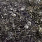 5c8a48482500000704c8d6aa