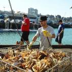 Pescaba centollos de roca para luego vendérselos a los pescadores del pueblo (Aprox.500 ptas). (Carlos Ortiz. 25 años)
