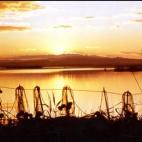 Parque natural de La Albufera (Valencia)
