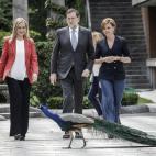 5c8aa814360000c81a6bd034