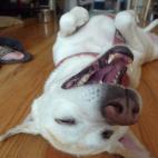 5c8a52b22400006d054bb736